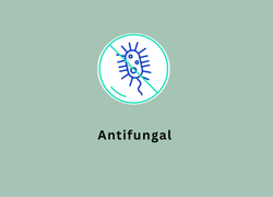 Antifungal