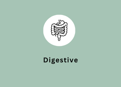 Digestive
